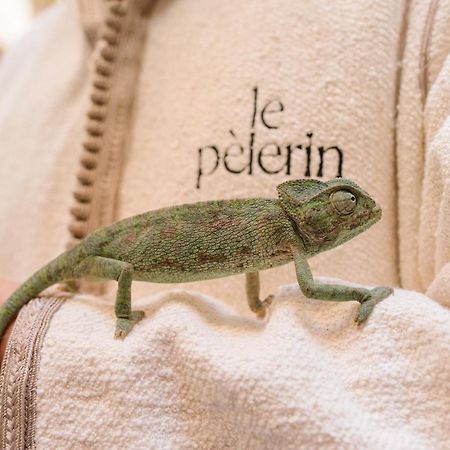 Riad Le Pelerin Marrakesz Zewnętrze zdjęcie