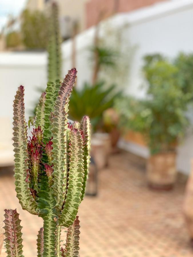 Riad Le Pelerin Marrakesz Zewnętrze zdjęcie