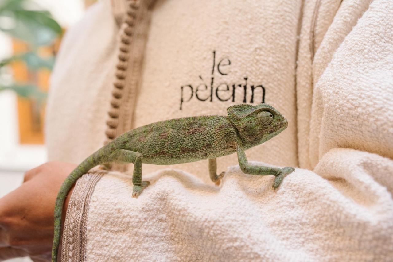 Riad Le Pelerin Marrakesz Zewnętrze zdjęcie